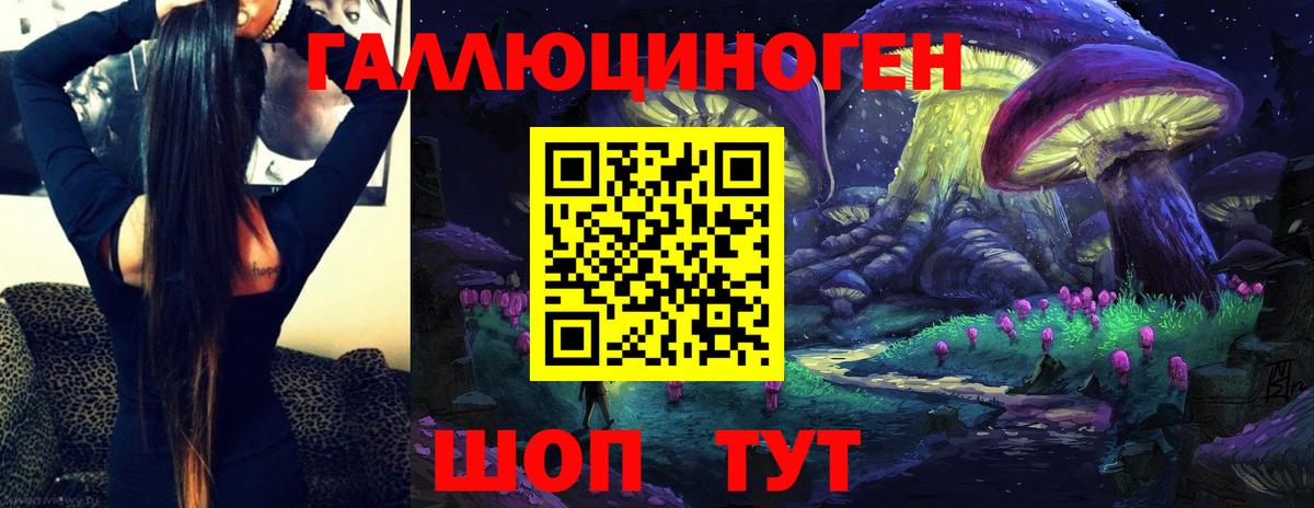 Псилоцибиновые грибы Cubensis  Вход с VPN  Псилоцибиновые грибы прущие грибы  Новосибирск 