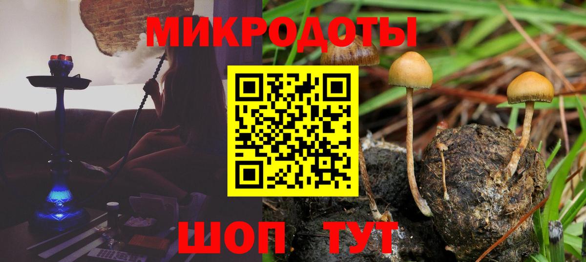 Псилоцибиновые грибы GOLDEN TEACHER Новосибирск